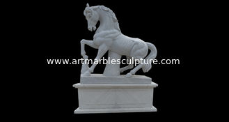 China Estátua de cavalo de mármore de jardim ao ar livre em tamanho real, esculturas de cavalo de pedra para parque fornecedor
