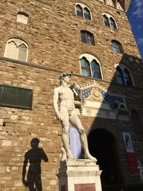 Escultura de mármore de David com 6 pés de altura fornecedor