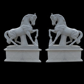 Estátua de cavalo de mármore de jardim ao ar livre em tamanho real, esculturas de cavalo de pedra para parque fornecedor