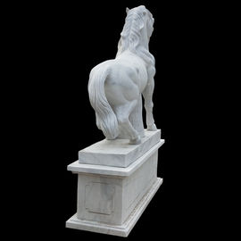 Estátua de cavalo de mármore de jardim ao ar livre em tamanho real, esculturas de cavalo de pedra para parque fornecedor