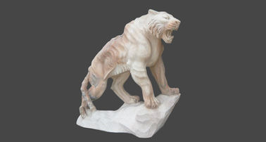 Escultura de tigre de mármore de jardim de escultura de pedra ao ar livre, fornecedor de escultura de pedra da China fornecedor
