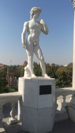 Esculturas de pedra de mármore ao ar livre Estátua de pedra de David, Esculturas de pedra de Vênus, Fornecedor de esculturas de pedra da China fornecedor