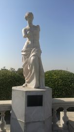 Esculturas de pedra de mármore ao ar livre Estátua de pedra de David, Esculturas de pedra de Vênus, Fornecedor de esculturas de pedra da China fornecedor