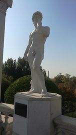 Esculturas de pedra de mármore ao ar livre Estátua de pedra de David, Esculturas de pedra de Vênus, Fornecedor de esculturas de pedra da China fornecedor